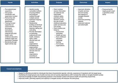 Implementing a social innovation for community-based peer support for immigrant mothers in Sweden: a mixed-methods process evaluation